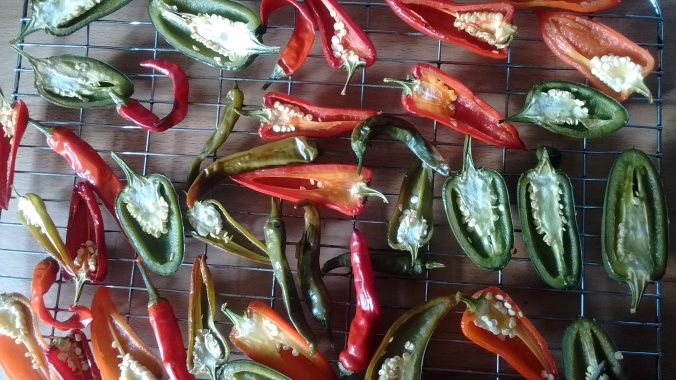 peppers-roasted